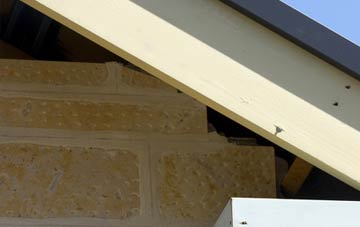 soffit repair Woodseaves