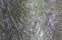 Woodseaves fibreglass roof work